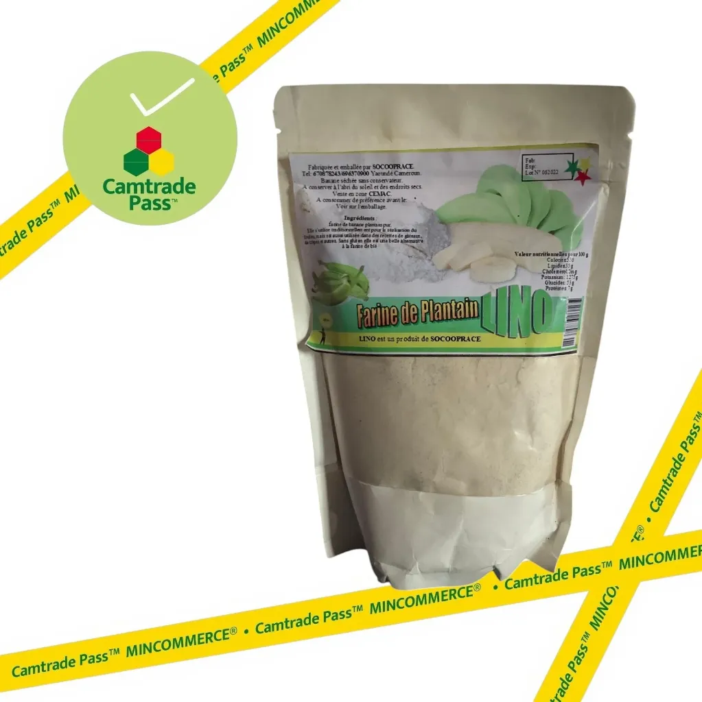[SOCOOPRACE3] Farine de Plantain 100g